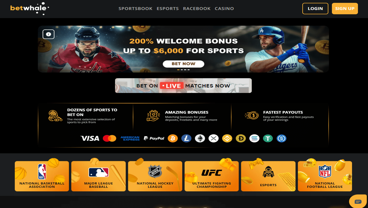 BetWhale - Best Florida Online Casinos